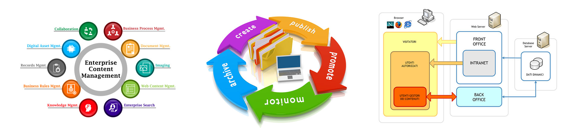 Custom CMS Solution