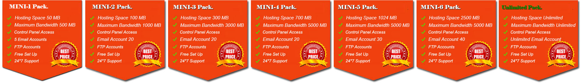 Corporate Hosting Plan